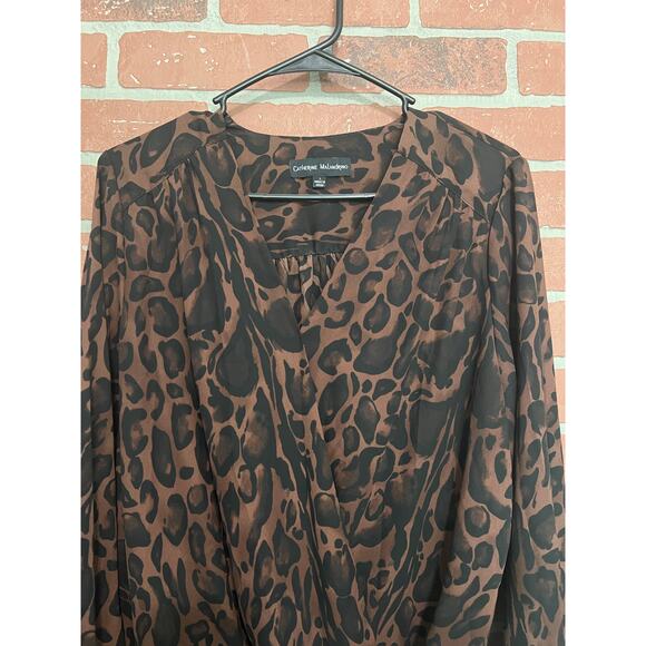Catherine Melandrino Cheetah Print Long Sleeve V-Neck Top - L - Picture 7 of 8